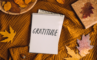 A Heartfelt Thanksgiving: Reflections on Growth and Gratitude